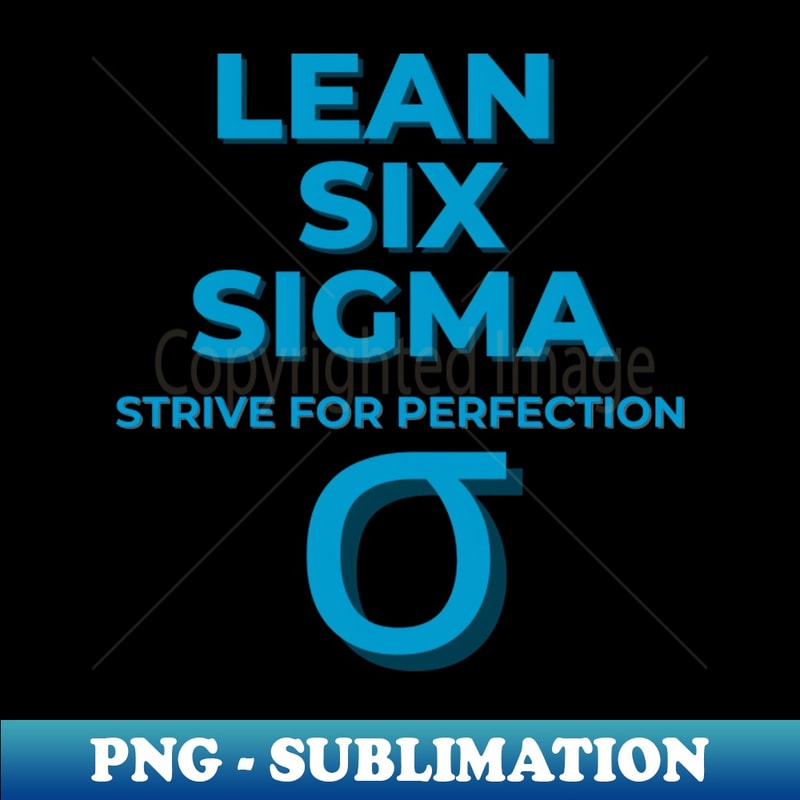 SY-20231120-27281_LEAN SIX SIGMA strive for perfection 1302.jpg