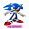 CT040923284-Sonic png.png