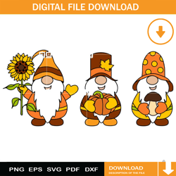 fall gnomes svg, autumn gnomes svg, thanksgiving svg