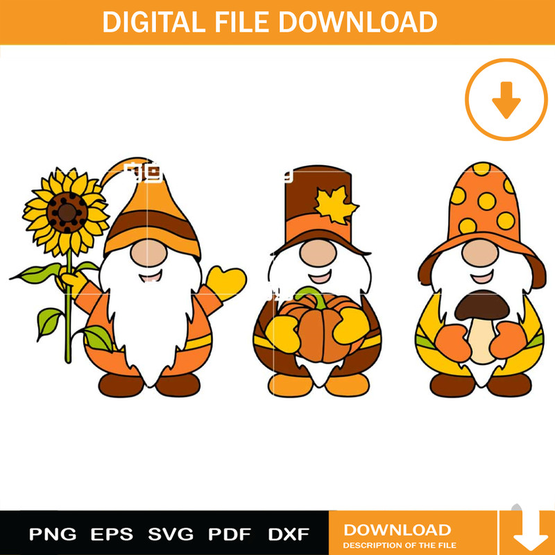 Fall Gnomes SVG, Autumn Gnomes SVG, Thanksgiving SVG.jpg