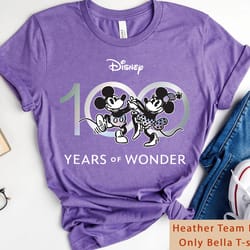 disney 100 years of wonder shirt, disney 100th anniversary shirt, mickey and minnie, magic kingdom tee, disneyland famil