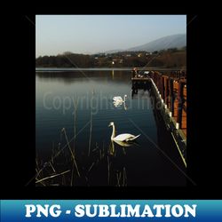 Lake with swan and bridge landscape photography - Modern Sublimation PNG File - Unleash Your Inner Rebellion
