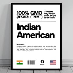 indian american unity flag poster mid century modern american melting pot rustic charming indian humor us patriotic wall