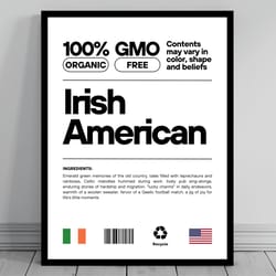 irish american unity flag poster mid century modern american melting pot rustic charming irish humor us patriotic wall d