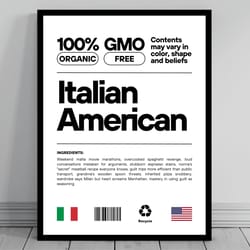 italian american unity flag poster mid century modern american melting pot rustic charming italian humor us patriotic de