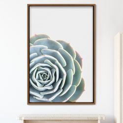 blooming lily pad succulent with red tips nature plants canvas art print, frame large wall art, gift, wall decor