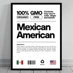 mexican american unity flag poster mid century modern american melting pot rustic charming mexican humor us patriotic de