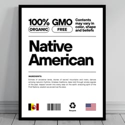 native american unity flag poster mid century modern american melting pot rustic charming native american humor us patri