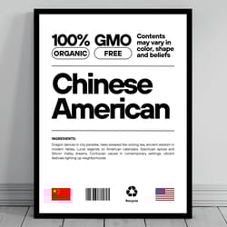 chinese american unity flag poster mid century modern american melting pot rustic charming chinese humor us patrioti