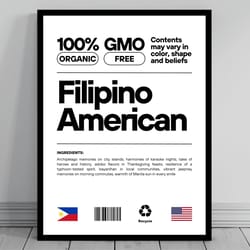 filipino american unity flag poster mid century modern american melting pot rustic charming filipino humor us patrio