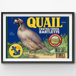 1919 quail pears poster! (up to 24 x 36) - kitchen - decor - bartlett - fruit - label - farm house - usa