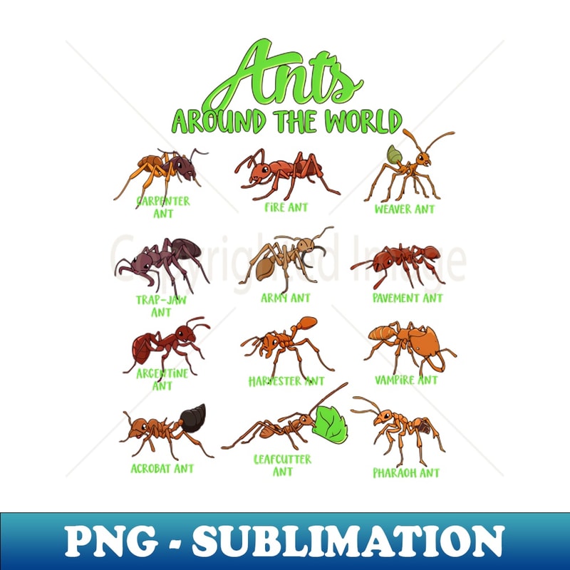 World Ant Ants around the world - ant species - Unique Sublimation PNG | Inspire ...