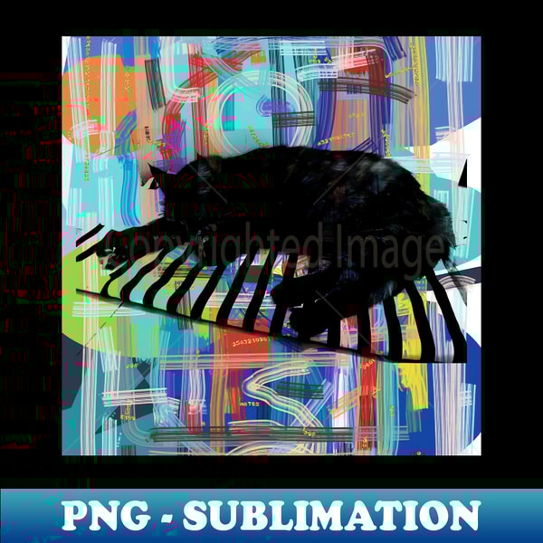 JU-20231121-40829_LA COSA Sleeping Cat Abstract Lines 1025.jpg