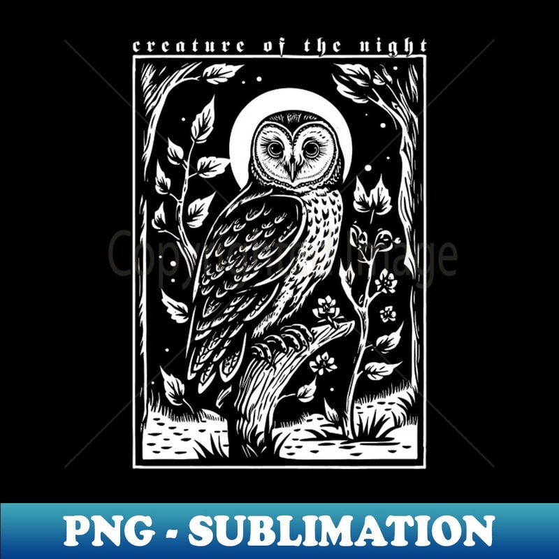 MO-20231121-15826_Creature Of The Night Owl 1311.jpg