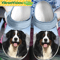 Bernese Mountain Crocs By Funny Crocs - Discover Comfort And Style Clog Shoes With Funny Crocs.jpg