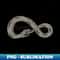 NE-20231121-37109_Infinity snake 9322.jpg