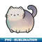 PG-20231121-27068_Galaxy Cat Kawaii 9658.jpg