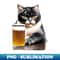 RR-20231121-6924_big belly lazyy cat loves beer 1 6214.jpg