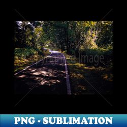 Tree forest landscape photography - Professional Sublimation Digital Download - Instantly Transform Your Sublimation Projects
