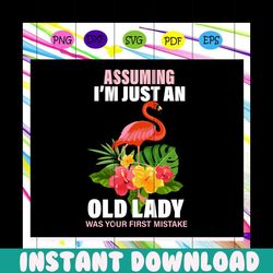 assuming im just an old lady was your first mistake, lady svg, lady, old lady, old lady gift, old lady birthday, lady li