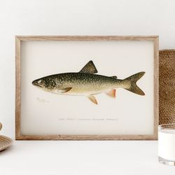 lake trout fish print, vintage fishing poster wall art decor, lake trout fish gift for fisherman gifts poster lake house