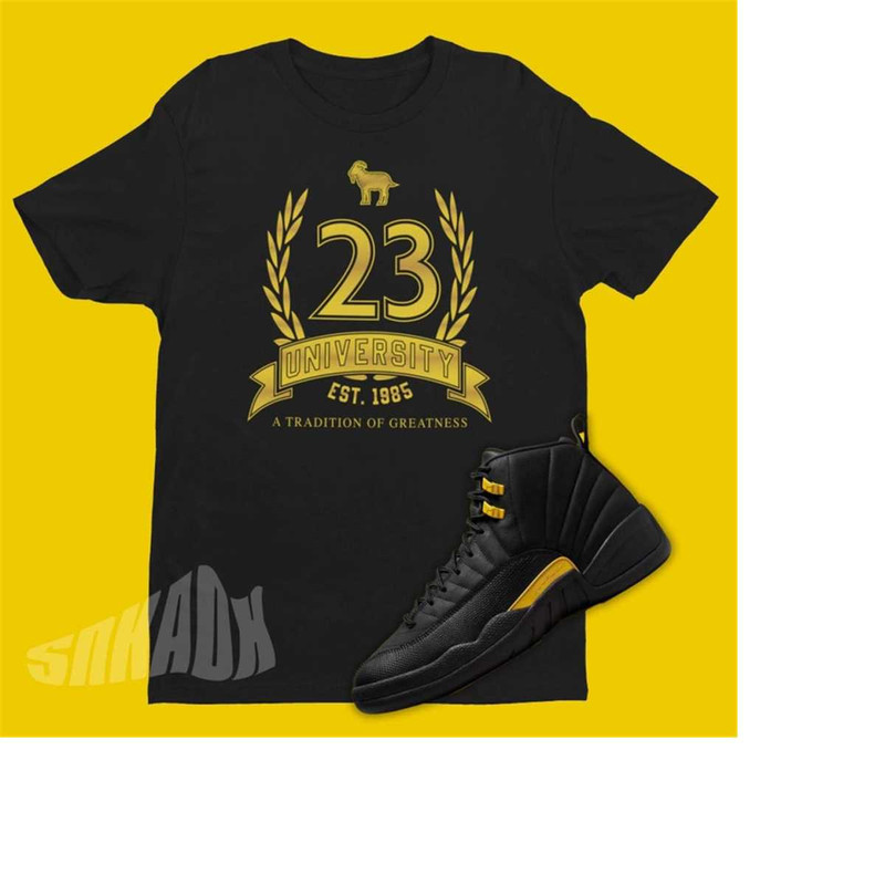 MR-221120238274-23-shirt-to-match-air-jordan-12-black-taxi-retro-12-tee-image-1.jpg