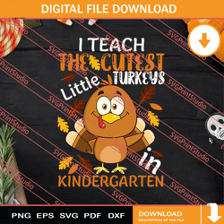 i teach the cutest little turkeys kindergarten
