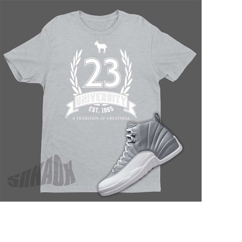 MR-2211202383829-air-jordan-12-stealth-match-shirt-retro-12-tee-23-sport-grey.jpg