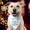I'm Snow Cute Dog Bandana, Paw Print Christmas Dog Bandana, Pet Owner Christmas Gifts, Pets Christmas Bandana, Snowman Dog Christmas Bandana.jpg