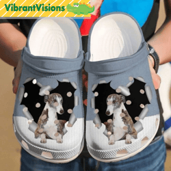 funny greyhound sittings broken heart dog crocs
