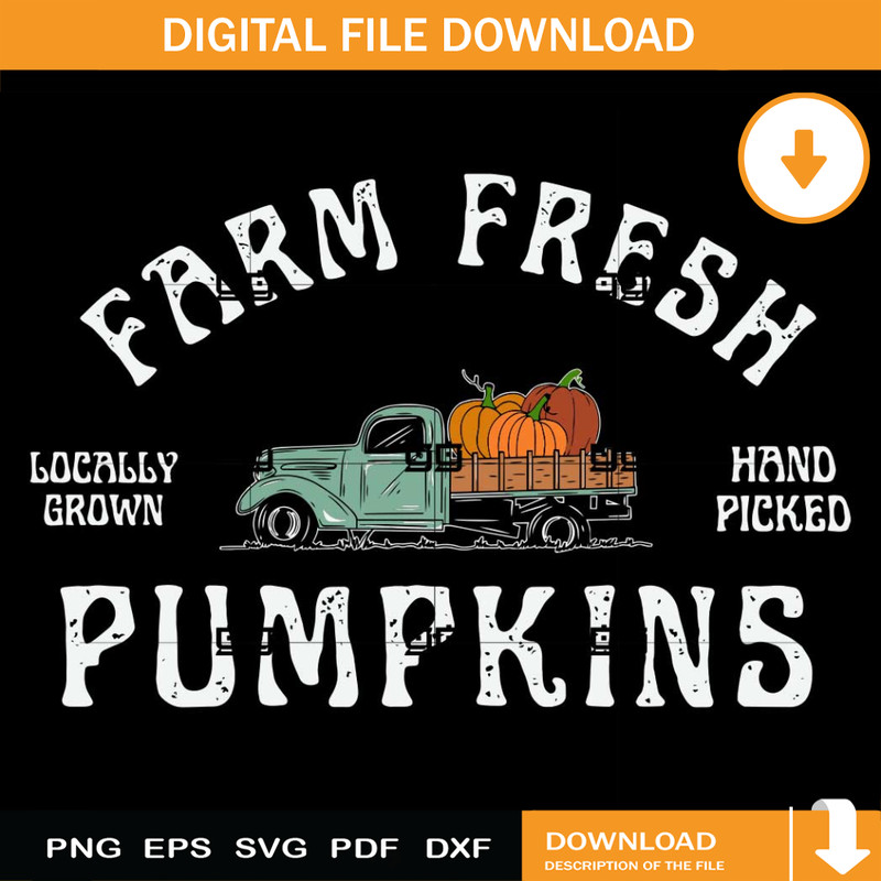 Farm Fresh Pumpkin SVG, Fall Vibes SVG, Thanksgivings SVG.jpg