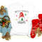 Santa's Favorite Gnome, Gnome Shirt, Santa Shirt, Christmas Shirt, Christmas Family Shirt, Merry Christmas Shirt, Christmas Day Gift.jpg