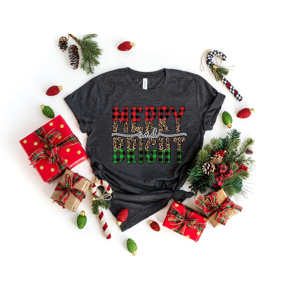 Merry and Bright Shirt,Christmas Shirt,It is the Most Wonderful Time Of The Year,Merry Christmas,Matching Family ,Family Matching Tee 2.jpg