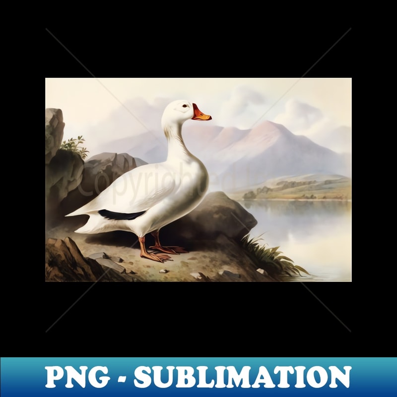 MC-26995_White Duck 4959.jpg