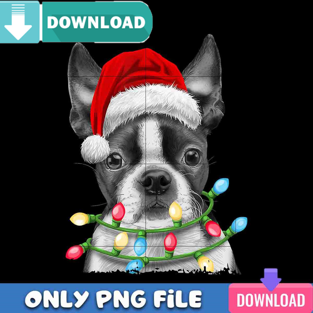 Boston Christmas Lights PNG Perfect Sublimation Design Download.jpg