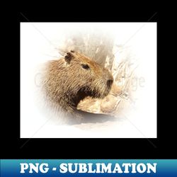 Capybara - Instant Sublimation Digital Download - Vibrant and Eye-Catching Typography