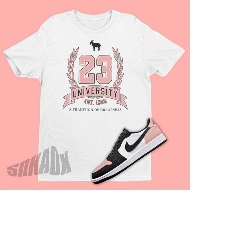 MR-2211202312113-23-greatest-of-all-times-shirt-to-match-air-jordan-1-bleached-image-1.jpg