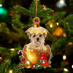 Cairn-Terrier In Golden Egg Christmas Ornament - Car Ornament - Unique Dog Gifts For Owners