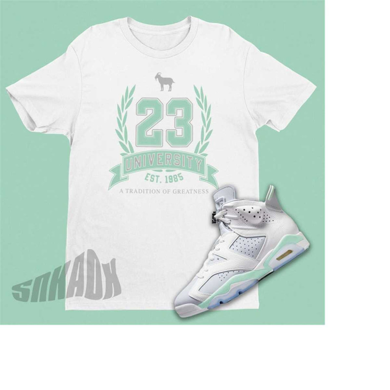 MR-22112023141246-air-jordan-6-mint-foam-matching-shirt-retro-6-shirt-for-image-1.jpg