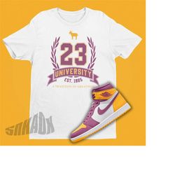air jordan 1 brotherhood 23 university shirt - retro 1 shirt - brotherhood jordan 1s matching sneaker tee