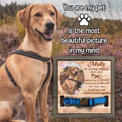 Dog Collar, Dog Loss Gift, Dog Memorial Collar Frame, Pet Loss Gifts, Personalized Pet Memorial Canvas