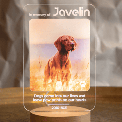 Dog Memorial Picture Frame, Pet Loss, Pet Memorial, Personalized Pet Loss Gift , Dog Loss Gift, Pet Bereavement Gift, P