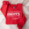Merry Christmas Shirt,Merry Christmas Shirt,Christmas T shirt, Christmas Family Shirt,Christmas Gift, Merry Christmas Shirt.jpg