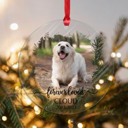 Dog Memorial Ornament, Dog Loss Gift, Dog Memorial Collar Frame, Pet Loss Gifts, Personalized Pet Memorial Canvas