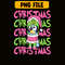 CRM07112325-Christmas bluey png.png
