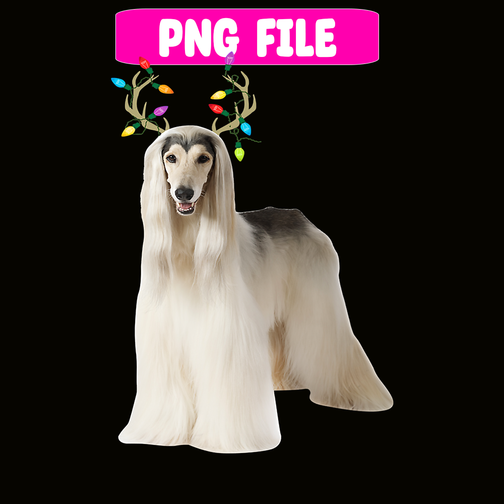 CRMD18102310-Afghan Hound Reindeer Christmas Dog, Christmas Dog Moods Png, Cute Gifts Png.png