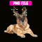 CRMD181023102-Belgian Reindeer Christmas Png, Christmas Dog Moods Png, Cute Gifts Png.png