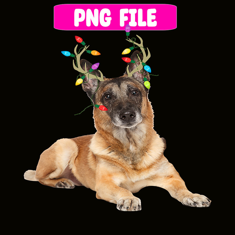 CRMD181023102-Belgian Reindeer Christmas Png, Christmas Dog Moods Png, Cute Gifts Png.png
