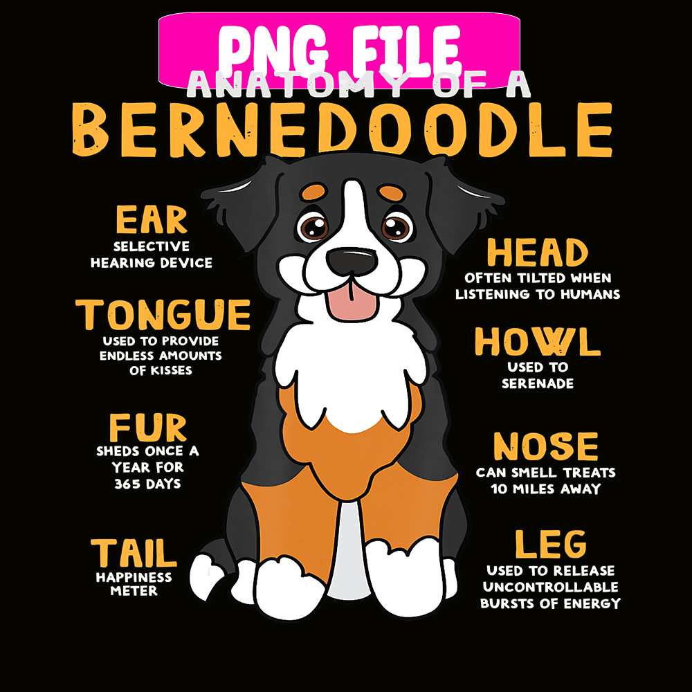 CRMD181023105-Bernedoodle Anatomy Png, Christmas Dog Moods Png, Cute Gifts Png.png