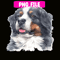 CRMD181023122-Bernese Mountain Dog Png, Christmas Dog Moods Png, Cute Gifts Png.png